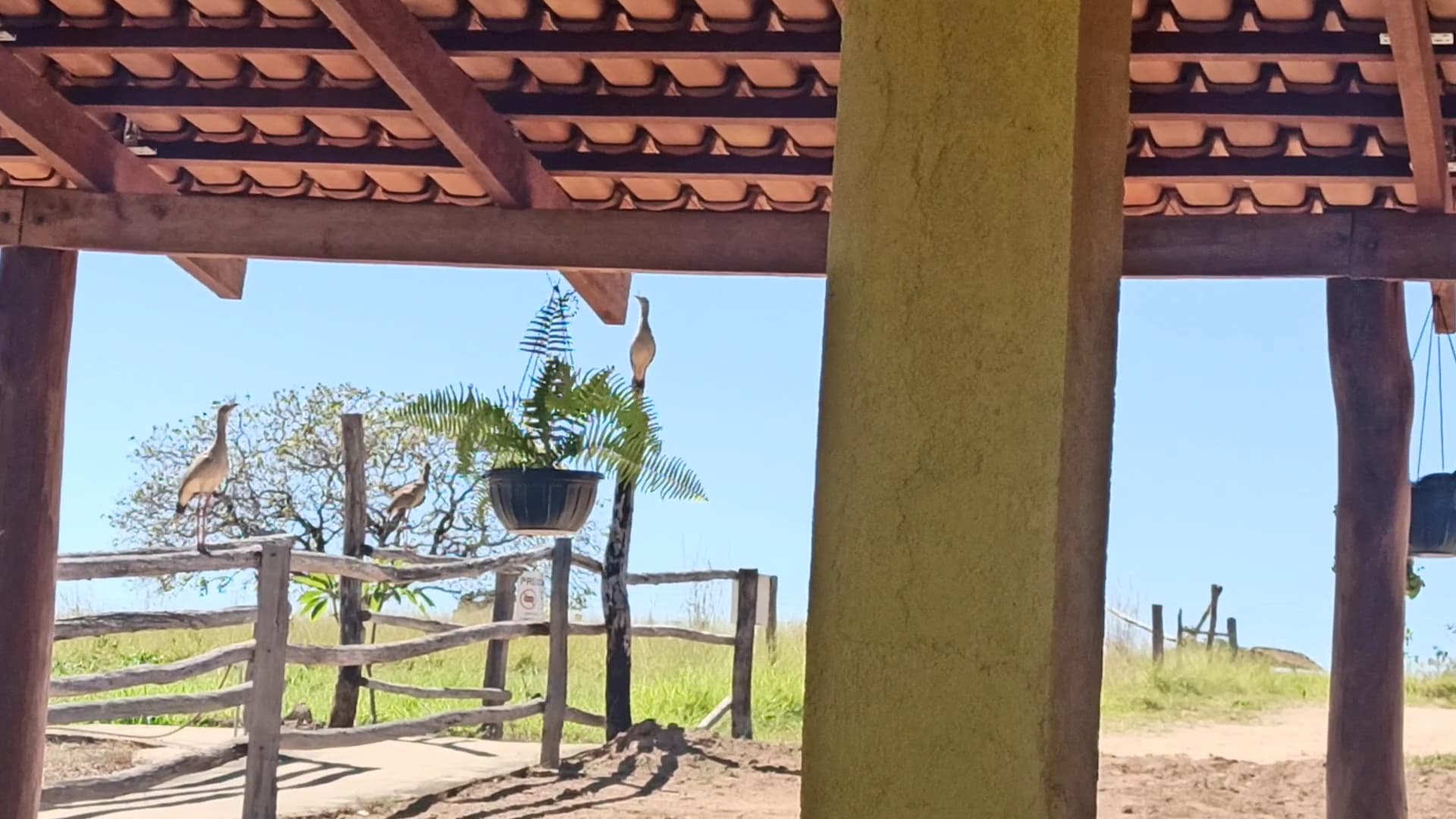 No Pé da Serra